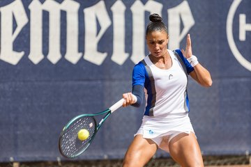 Bild 205 - BL DTV Hannover - BW Dresden Blasewitz : Ergebnis: 2:7